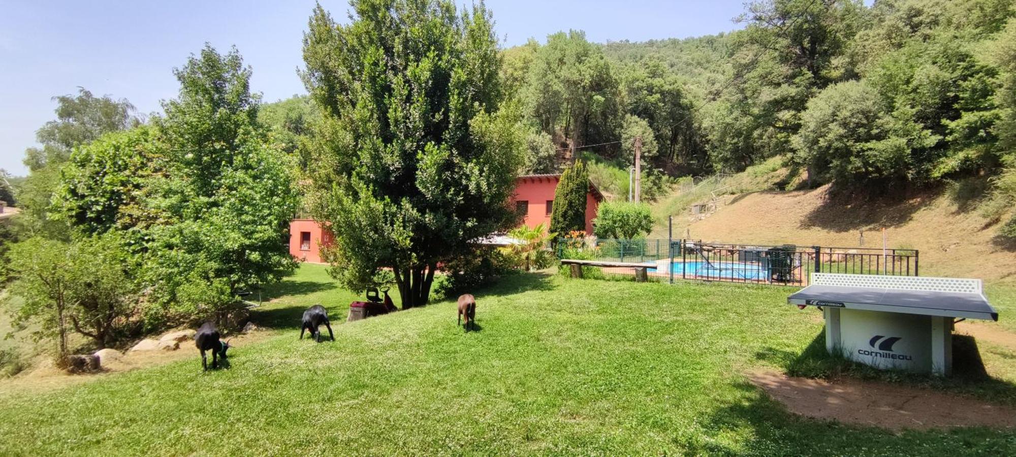 Villa Ca La Montse Viladrau Exterior foto